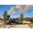 20284 G Dampflok Mogul, Nevada Central Railroad, Ep.II, DC-MFX-Sound Thumbnail 4