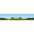180504 Modellhintergrund Ostholstein Thumbnail 1