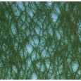 973-22S Fichte Thumbnail 1