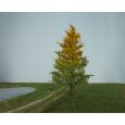 279-43 Lärche Thumbnail 1