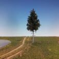 274-52 Fichte Thumbnail 1