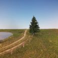 273-42 Fichte Thumbnail 1