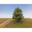 242-62 Linde Thumbnail 1