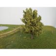 228-42 Birnbaum Thumbnail 1