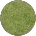 012-33 Grasflock 12 mm, Frühherbst, 50 g Thumbnail 1