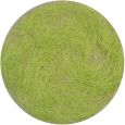 012-31 Grasflock 12 mm, Frühling, 50 g Thumbnail 1