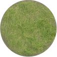 006-33 Grasflock 6,5 mm, Frühherbst, 50 g Thumbnail 1