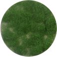 004-22 Grasflock 4,5 mm, Sommer, 50 g Thumbnail 1
