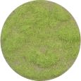 004-21 Grasflock 4,5 mm, Frühling, 50 g Thumbnail 1