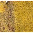 170776 PREMIUM Streufasern Stroh, 6 mm, 30 g Thumbnail 2