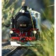 21482 G Dampflok VII K 99 731, SOEG, Ep. VI, DC-MFX-Sound Thumbnail 7