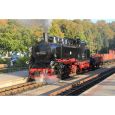 1017896 H0e Dampflok 99 1781-6, RüBB, Ep. VI Thumbnail 1