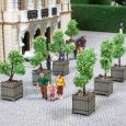 14013 H0 Laser-Cut minis, Zierbäume in Kübeln, 2 Stück Thumbnail 1