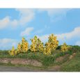 11800 6 Forsythiensträucher 3-6 cm Thumbnail 1
