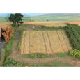 33520 Grasfaser 2-3 mm, Stoppelfeld, 50 g Thumbnail 1