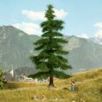 21811 Nordmanntanne 14,5 cm hoch Thumbnail 1