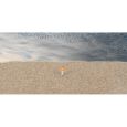 170200 Streufasern, Wintergras, 2-3 mm, 35 g Thumbnail 2