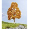 20129 Birke, herbstlich