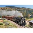 25983 H0 Dampflok 2-8-4 Berkshire, SP, Ep. III, DC-MFX-Sound Thumbnail 8