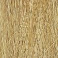 WFG172 Hohes Gras, Herbstgold, 8 g