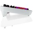 Pioneer DDJ-ERGO-V inkl. Bag Thumbnail 6