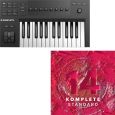 Native Instruments KOMPLETE KONTROL A25 + KOMPLETE 14 Thumbnail 1