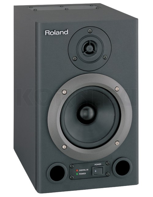 Roland DS 30A | Musikhaus