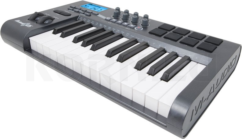 25 key weighted keyboard