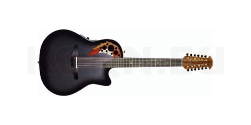 melissa etheridge 12 string guitar