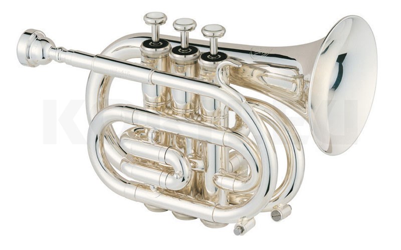 Jupiter Taschentrompete 416 S Musikhaus