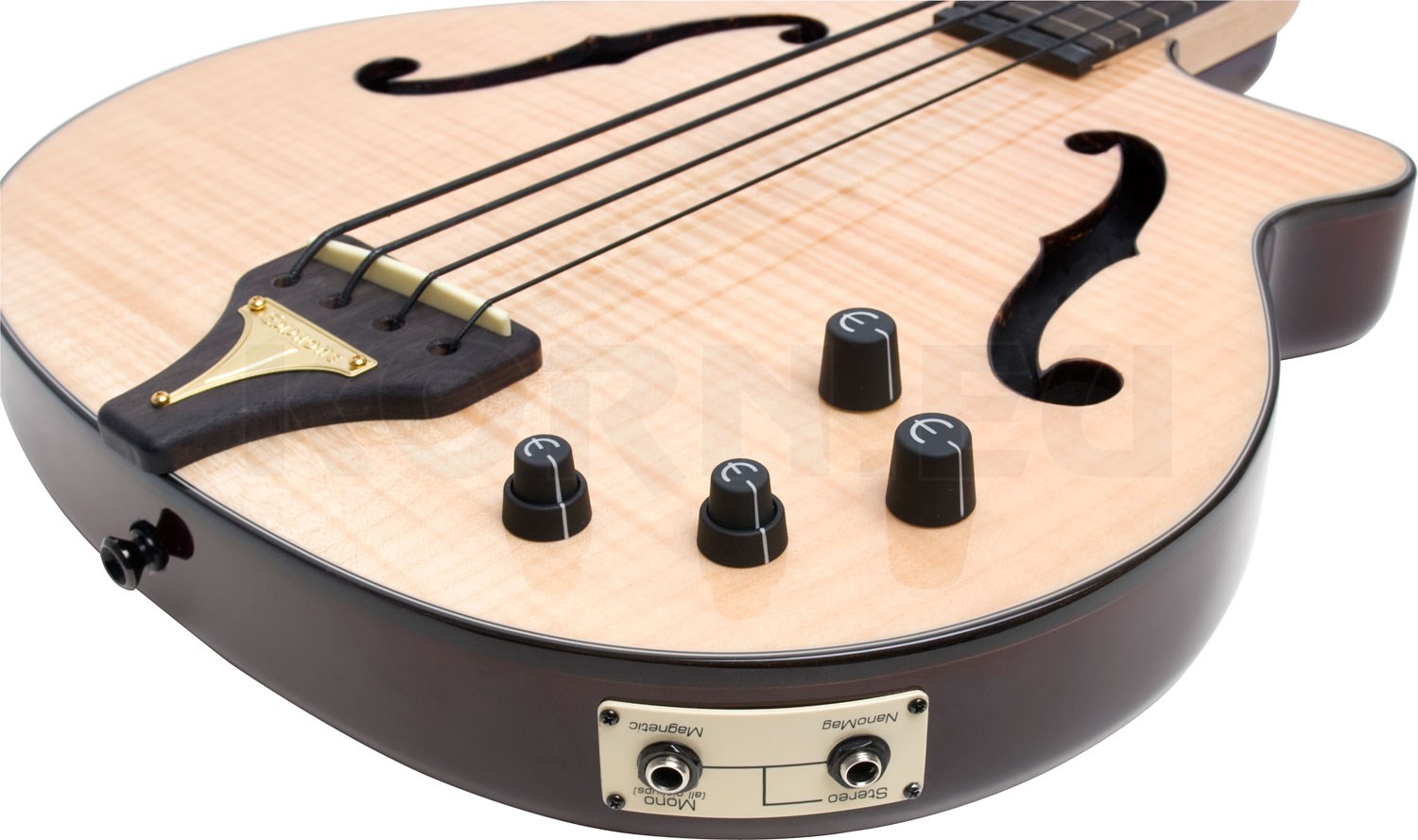 Epiphone Zenith Bass AN Musikhaus