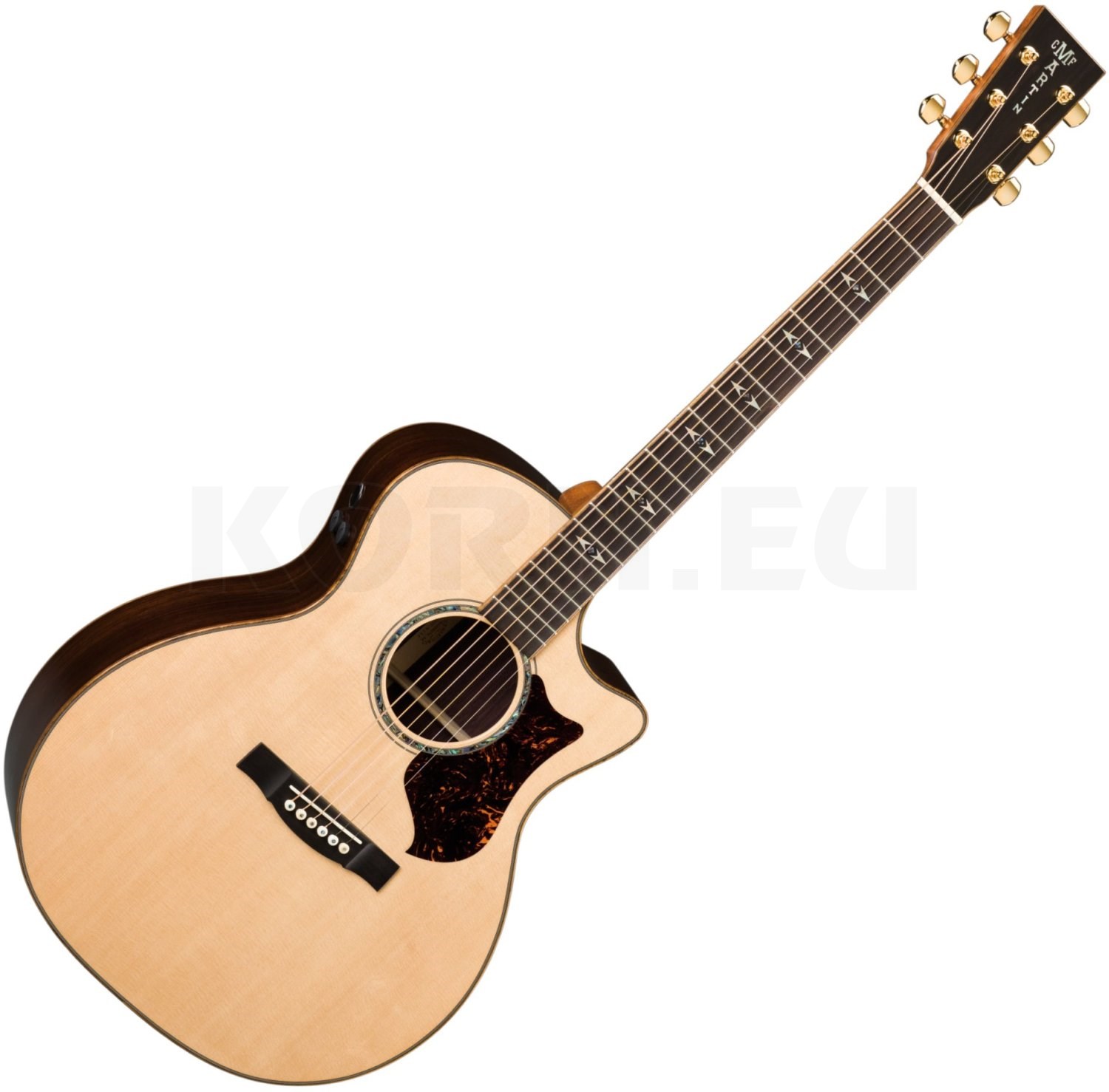 Martin Guitars GPCPA1 music store