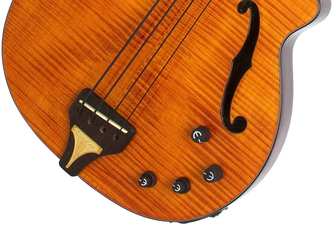 Epiphone Zenith Bass Fretless AN music store