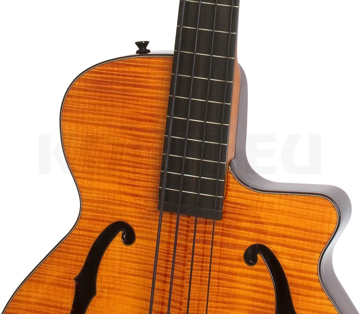 Epiphone Zenith Bass Fretless AN Musikhaus