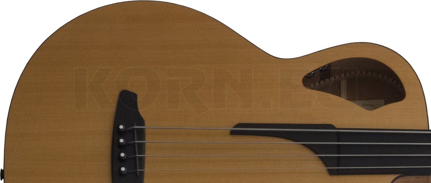 Furch B61 CM Fretless Akustik Bass Musikhaus