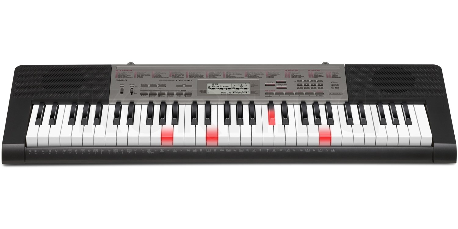 Casio LK-240 | Musikhaus