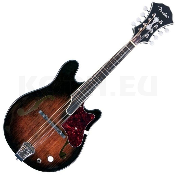 fender robert schmidt mandolin