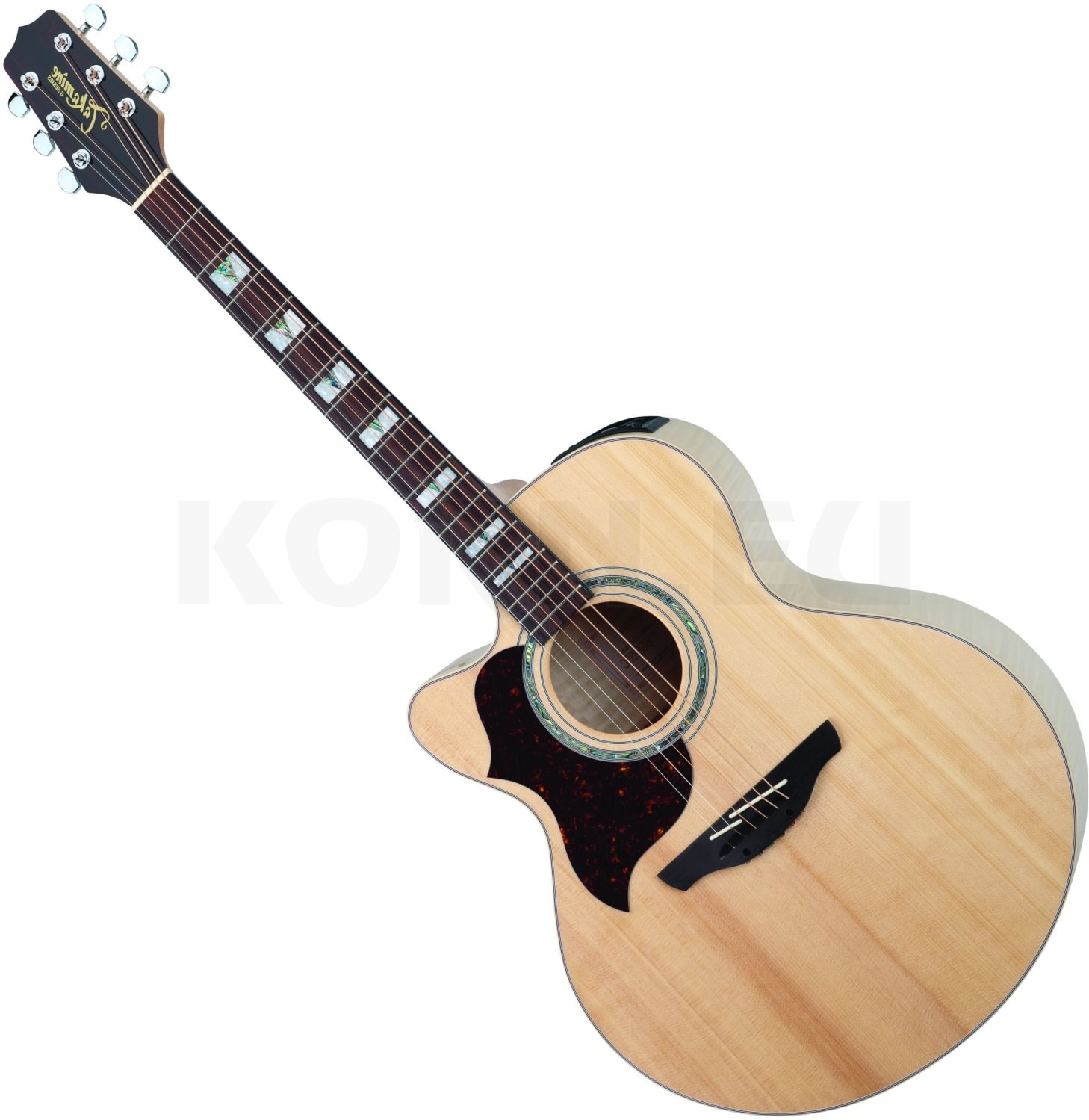 takamine eg523sg