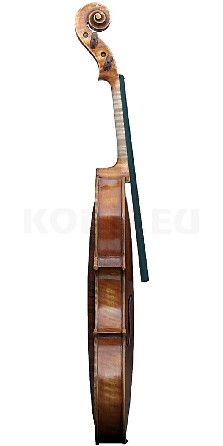 Gewa Viola Instrumenti Liuteria Professional... Musikhaus