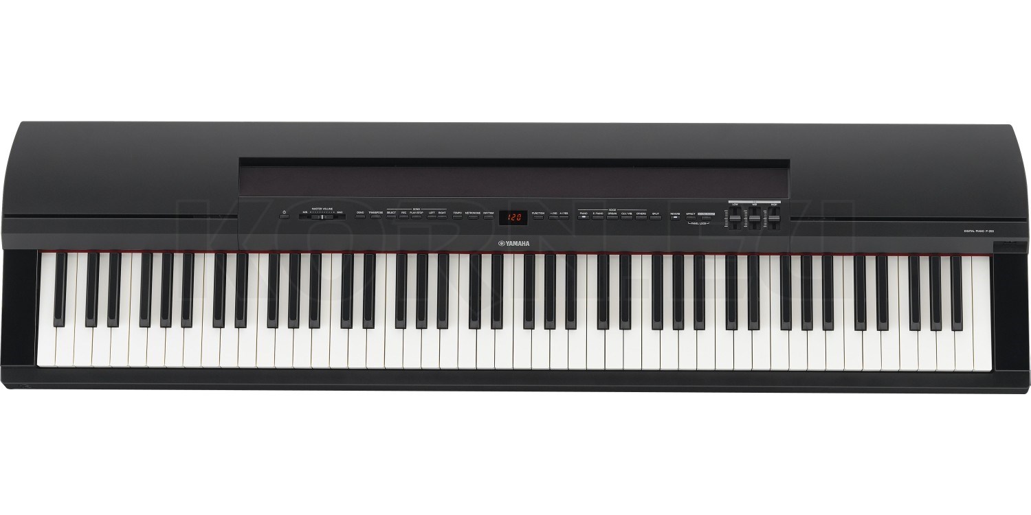 Yamaha P255 B Stage Piano | music store