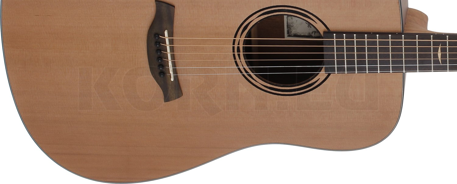Baton Rouge AR11C D Westerngitarre | Musikhaus