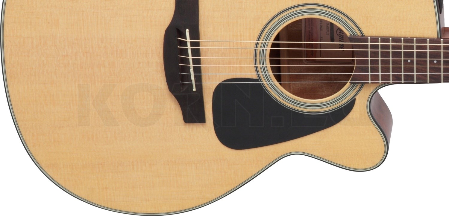 takamine gn10ce