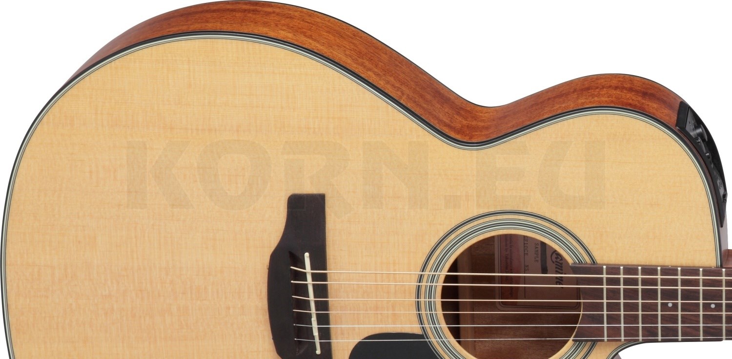 takamine gn10ce