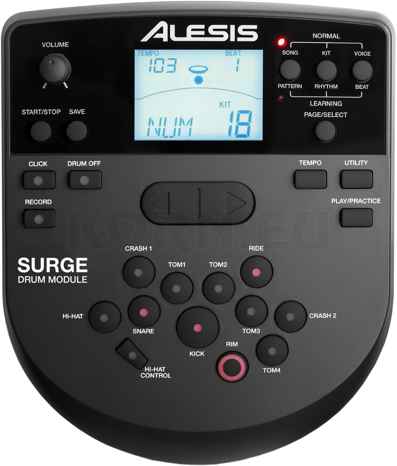 Alesis surge mesh kit обзор