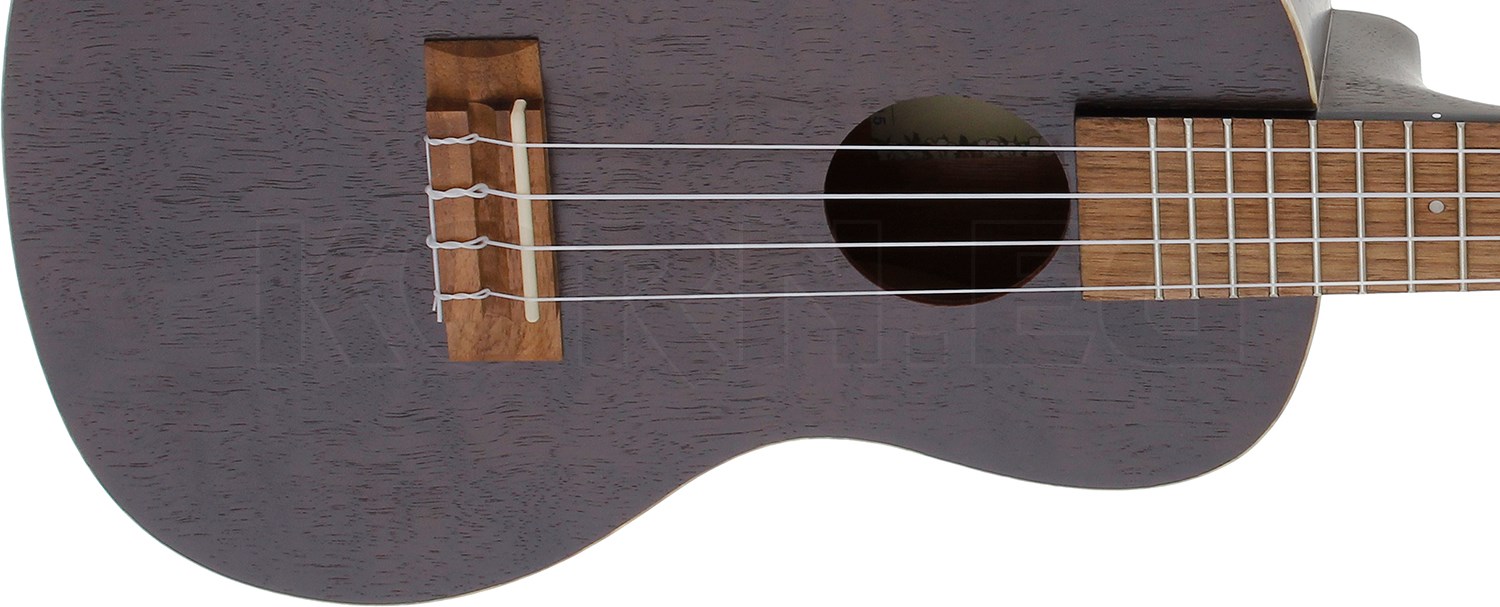 Kala Concert Ukulele KACEMBK Black inkl. Gig Bag Musikhaus