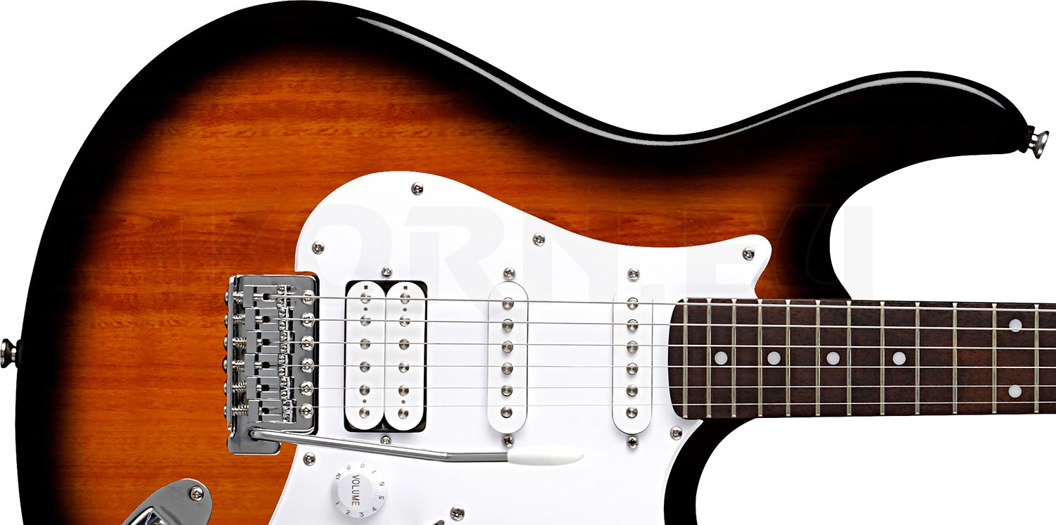 Cort G 110 2-Tone Sunburst E-Gitarre | Musikhaus