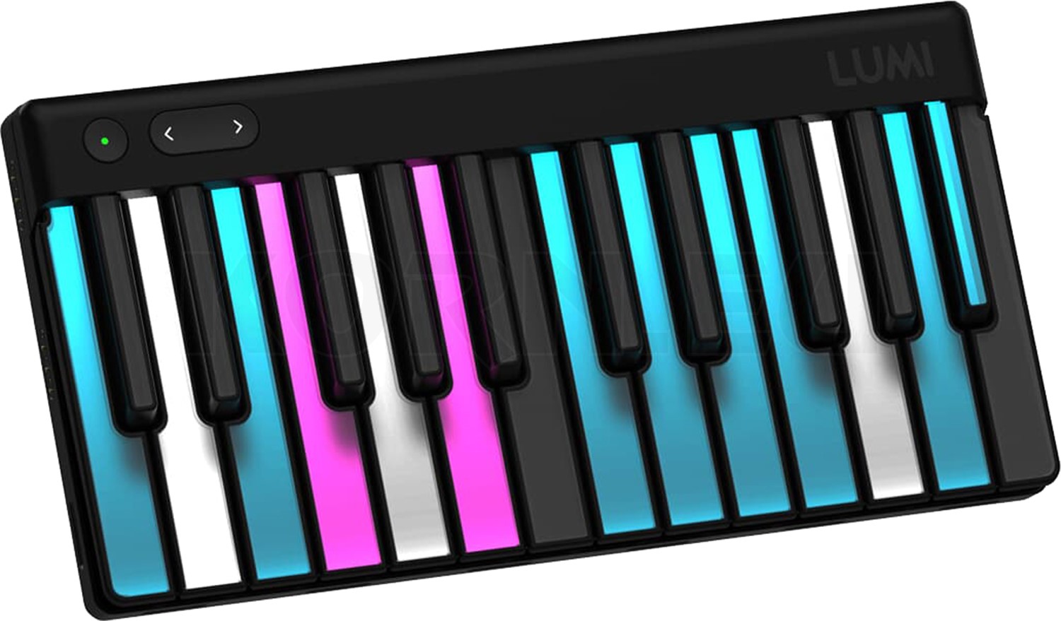 ROLI Lumi Keys Studio Edition | music store