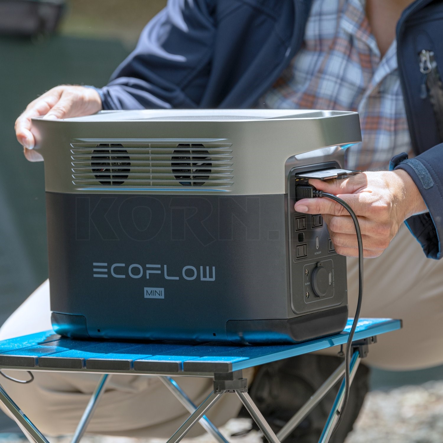 EcoFlow Delta Mini music store