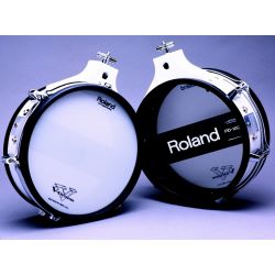 Roland PD 100