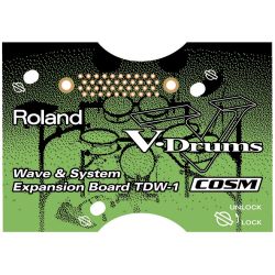 Roland TDW 1
